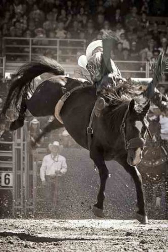 Laramie Jubilee Days Celebrate the Western Lifestyle